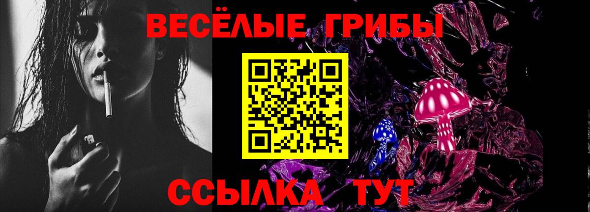 Галлюциногенные грибы GOLDEN TEACHER Дербент